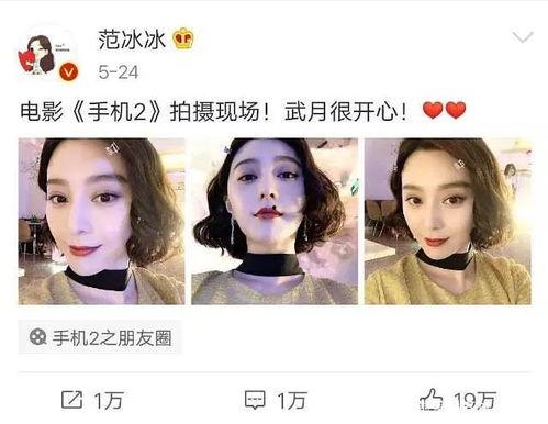 吃瓜娱乐圈白鹿,娱乐圈的瓜田新秀
